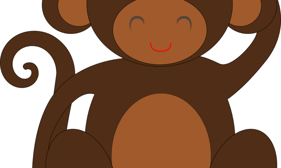 Navigating Life’s Jungle Gym: